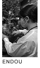 アデペシュららぽーと富士見店 endou