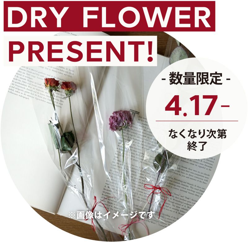 ドライフラワープレゼント